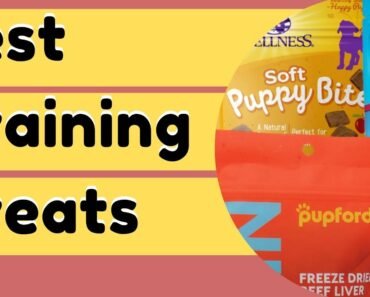 Best Dog Training Treats For Better Results