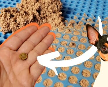 STOP throwing $ AWAY!! Easy HOMEMADE dog training TREATS!