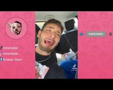 mreviatar TikTok