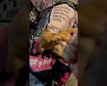 You are so cute it makes me angry You are so cute it makes me angry